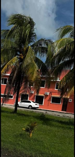 Bonito y acogedor estudio